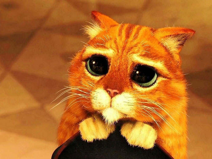 Kadınların erkeklerden daha iyi yaptığı şeyler