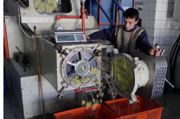 Zeytinyağlı sabunun serüveni