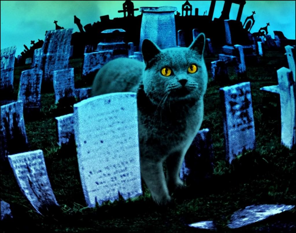 En iyi 10 korku filmi