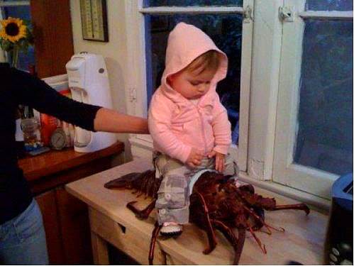 Bu insanlar şaşırmış