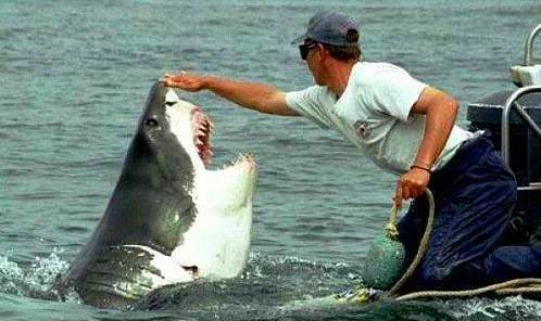 Bu insanlar şaşırmış