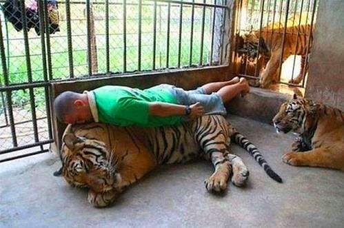 Bu insanlar şaşırmış