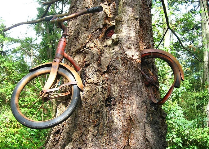 Bu ağaçlar her şeyi yiyor