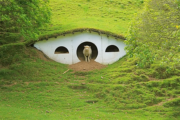 Terk edilmiş film setleri