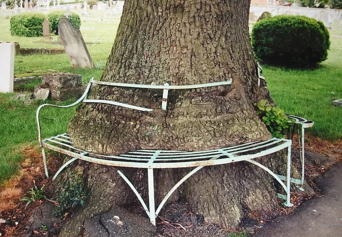 Bu ağaçlar her şeyi yiyor