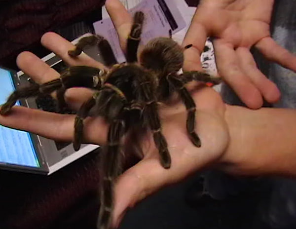 Hayvanlar hakkında bilmediğimiz sevimli gerçekler