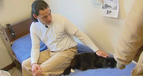 Hayvanlar hakkında bilmediğimiz sevimli gerçekler