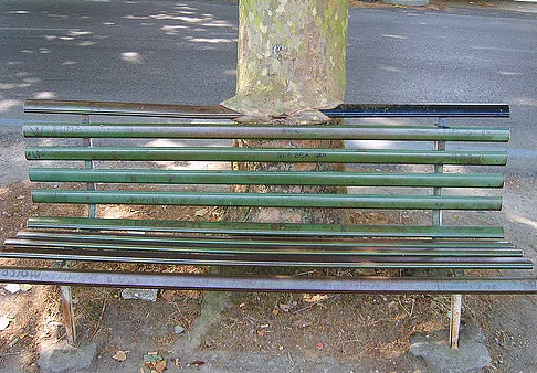 Bu ağaçlar her şeyi yiyor