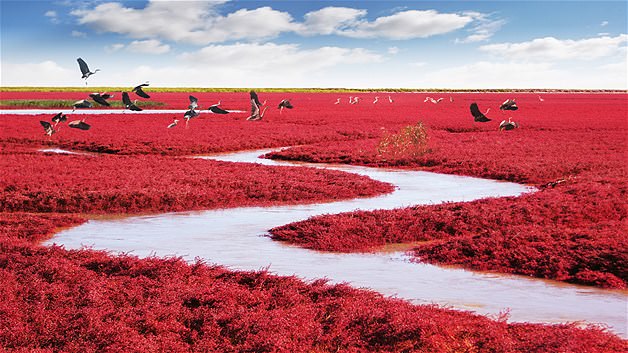 İnanılmaz ama gerçek manzaralar