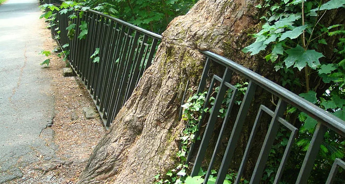 Bu ağaçlar her şeyi yiyor