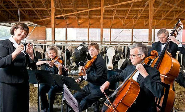 Hayvanlar hakkında bilmediğimiz sevimli gerçekler