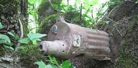 Bu ağaçlar her şeyi yiyor