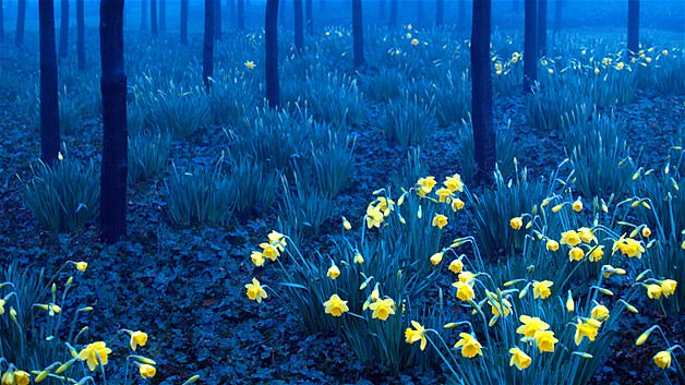 İnanılmaz ama gerçek manzaralar