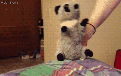 Kedilerin gizli yetenekleri