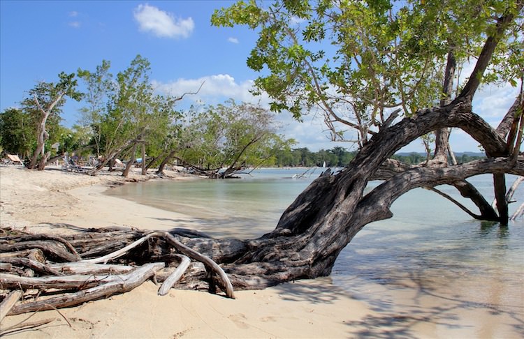 Dünyanın en iyi 6 plajı