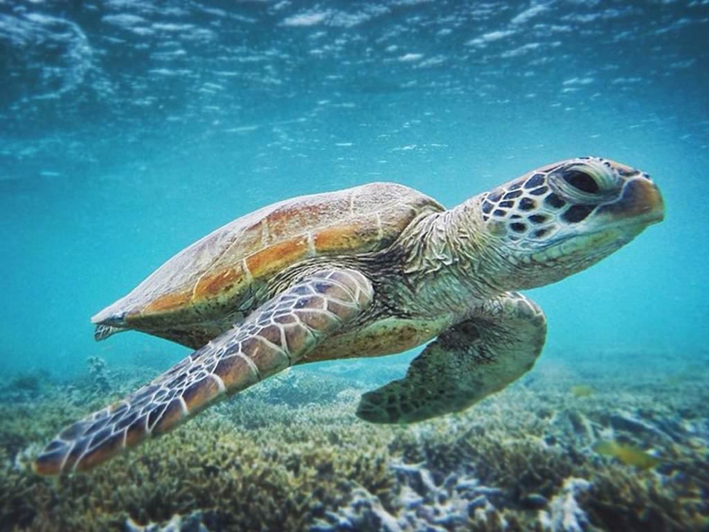 Instagram’ın en havalı 20 seyahat fotoğrafçısı