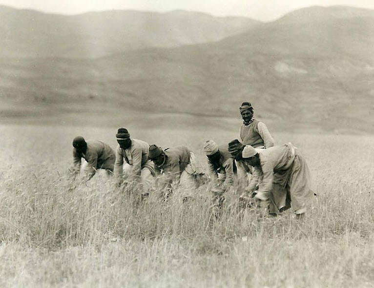 Osmanlı İmparatorluğu'nun dört bir yanından eşsiz fotoğraflar