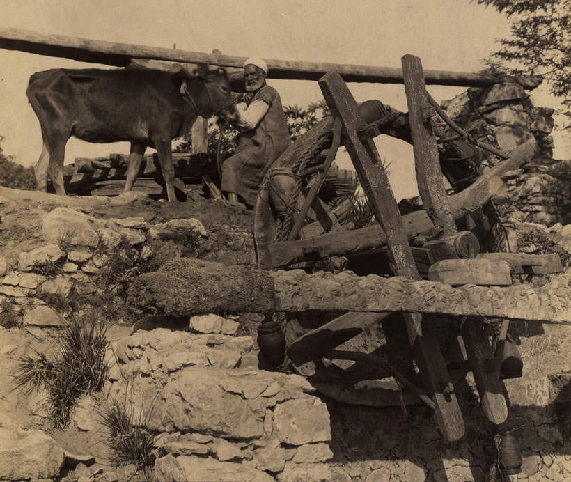 Osmanlı İmparatorluğu'nun dört bir yanından eşsiz fotoğraflar