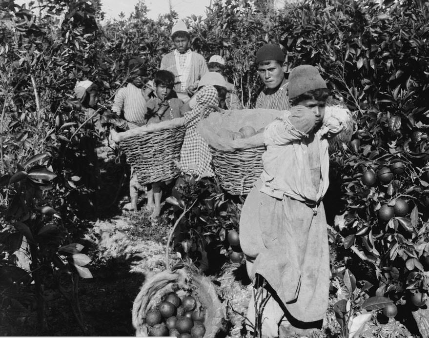 Osmanlı İmparatorluğu'nun dört bir yanından eşsiz fotoğraflar