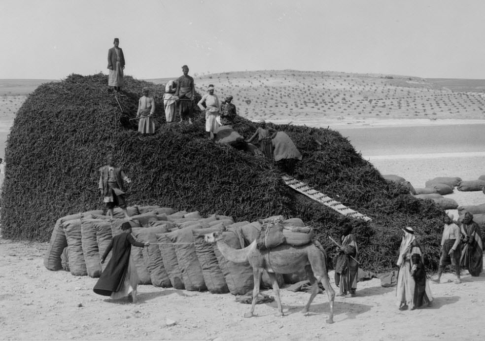 Osmanlı İmparatorluğu'nun dört bir yanından eşsiz fotoğraflar