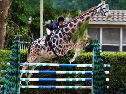 Sadece kısa boyluların sahip olduğu avantajlar!