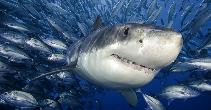 Dünya hakkında pek bilinmeyen gerçekler