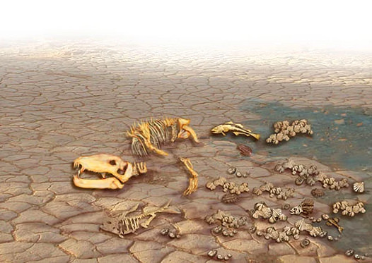 Dünya hakkında pek bilinmeyen gerçekler