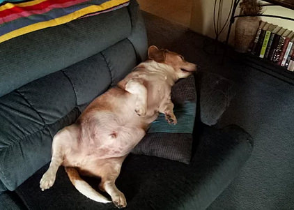 Sadece kısa boyluların sahip olduğu avantajlar!