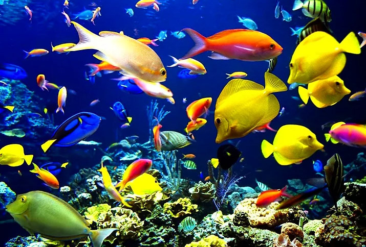 Dünya hakkında pek bilinmeyen gerçekler