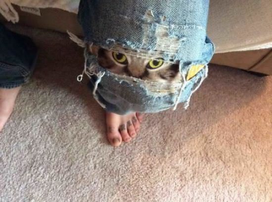 Bu dövmeler gerçekten farksız