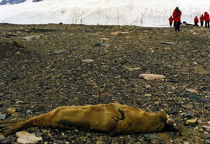 Dünya hakkında pek bilinmeyen gerçekler