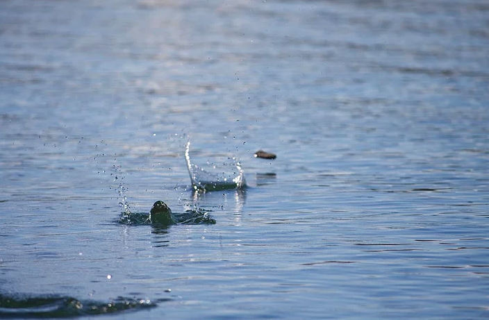 Dünya hakkında pek bilinmeyen gerçekler