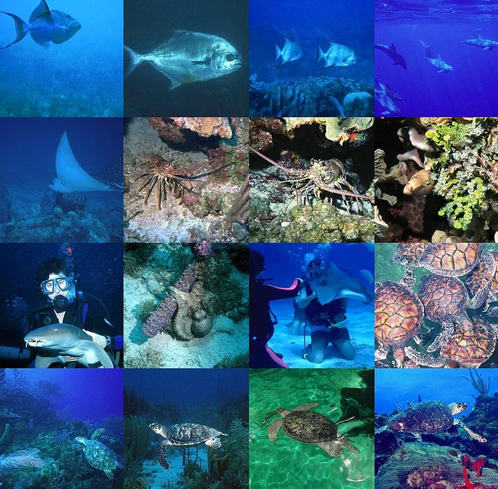 Dünya hakkında pek bilinmeyen gerçekler