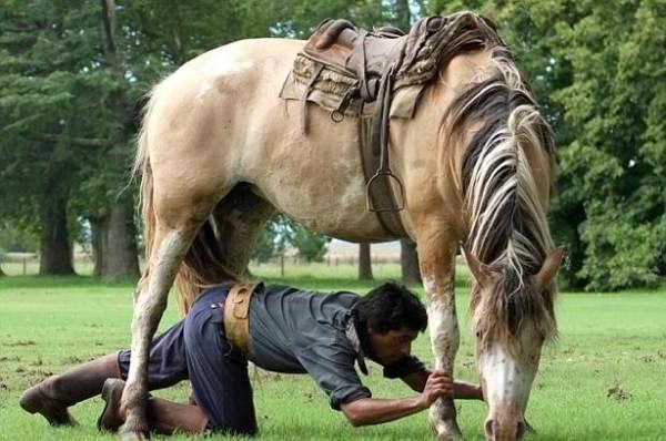 Atlara fısıldayan adam