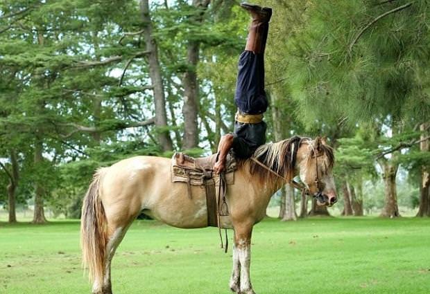 Atlara fısıldayan adam