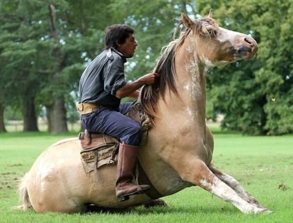 Atlara fısıldayan adam