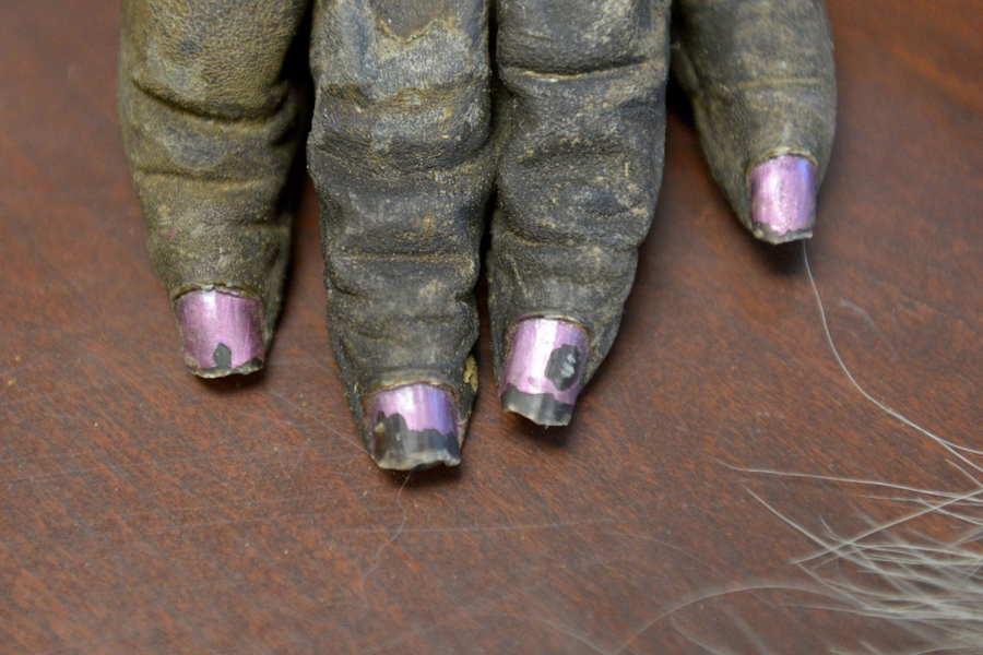 Yılın en şaşırtıcı 60 fotoğrafı