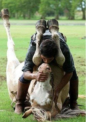 Atlara fısıldayan adam