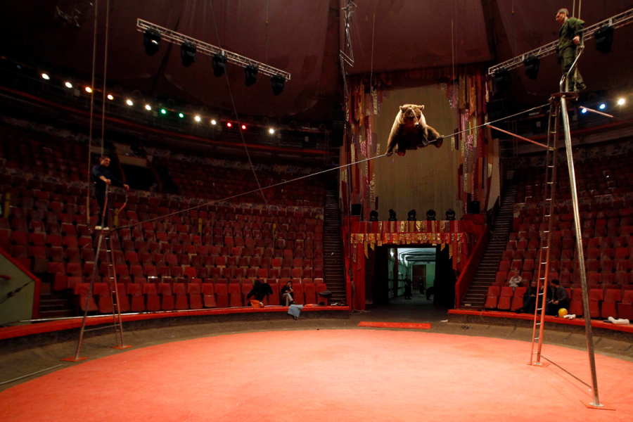 Yılın en şaşırtıcı 60 fotoğrafı