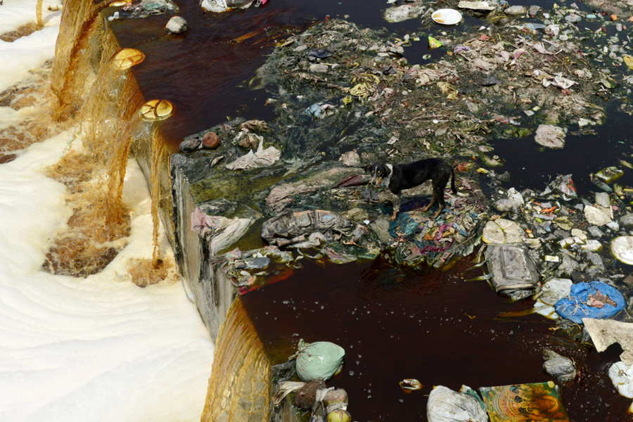 Yılın en şaşırtıcı 60 fotoğrafı