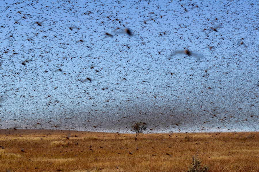 Yılın en şaşırtıcı 60 fotoğrafı