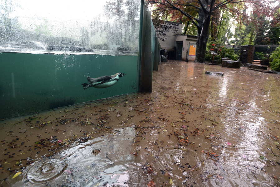 Yılın en şaşırtıcı 60 fotoğrafı