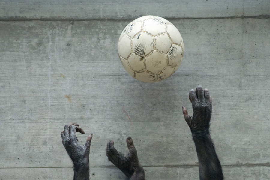 Yılın en şaşırtıcı 60 fotoğrafı