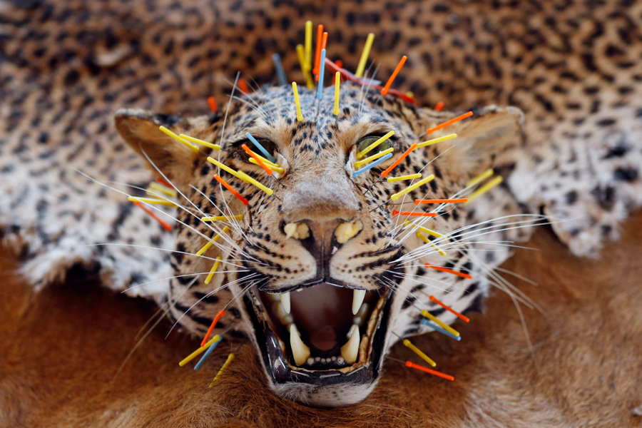 Yılın en şaşırtıcı 60 fotoğrafı