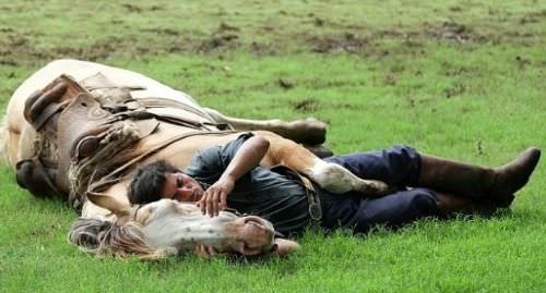 Atlara fısıldayan adam