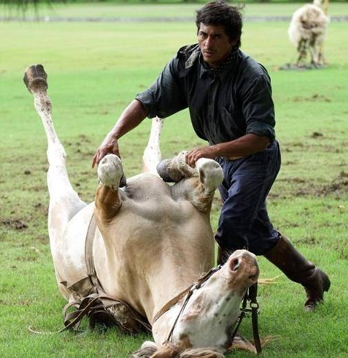 Atlara fısıldayan adam