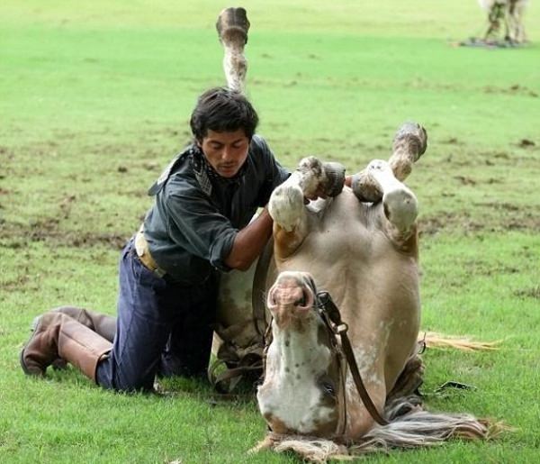 Atlara fısıldayan adam