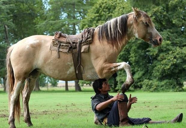 Atlara fısıldayan adam