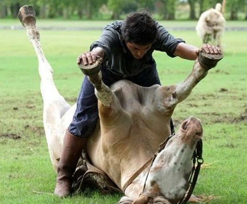 Atlara fısıldayan adam