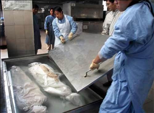 Plastinasyon vücutlar nasıl hazırlanıyor?